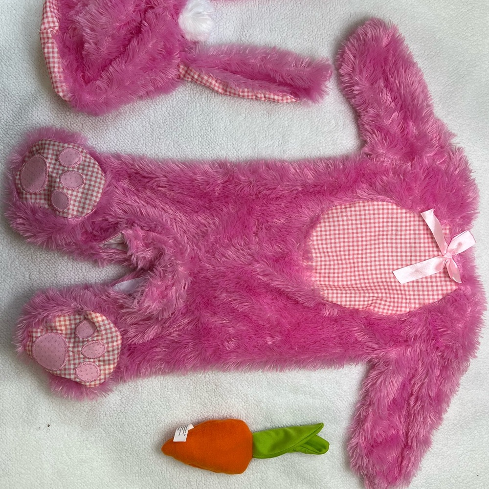 girls costume is like new only worn once